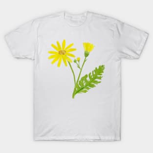 Ragwort / Cushag T-Shirt